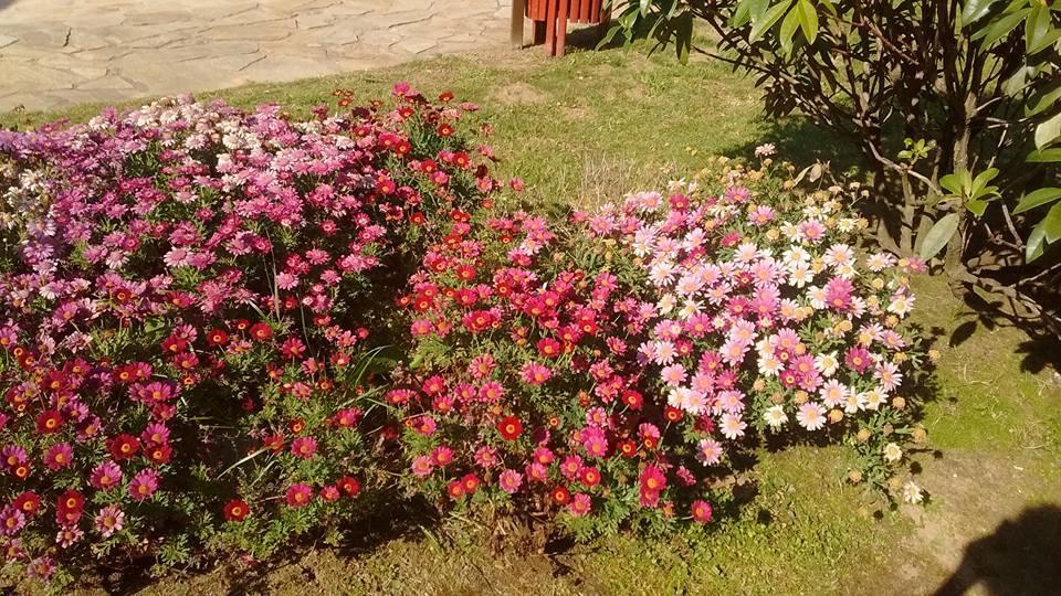 Alen Do Mis - Hotel Rural Фос Екстер'єр фото